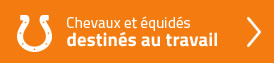 Chevaux et équidés destinés au travail