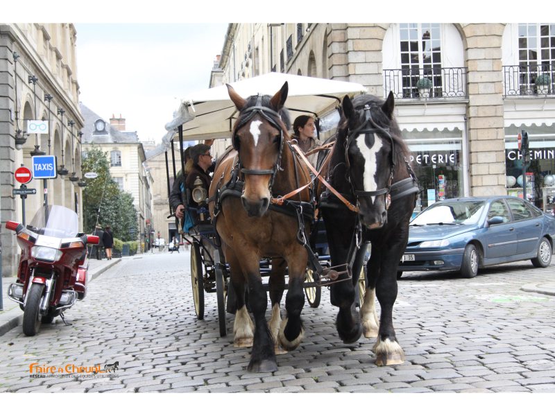 rennes tours voiture