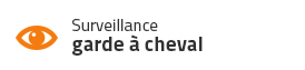 Surveillance et garde à cheval