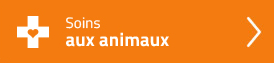 Soins aux animaux