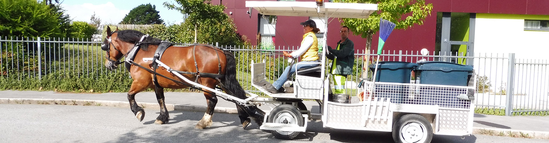 Bienvenue sur le réseau Faire à cheval