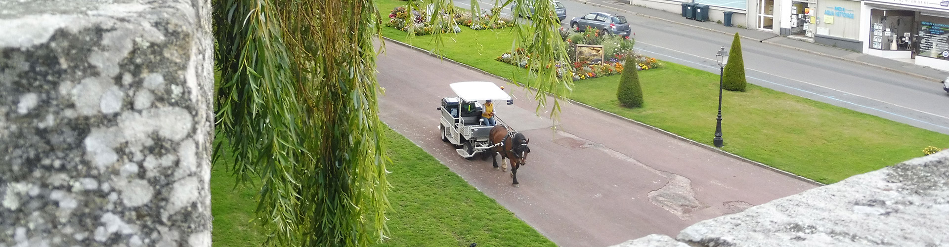 Bienvenue sur le réseau Faire à cheval