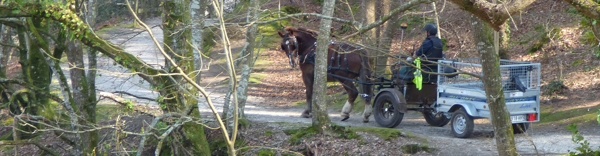 Bienvenue sur le réseau Faire à cheval