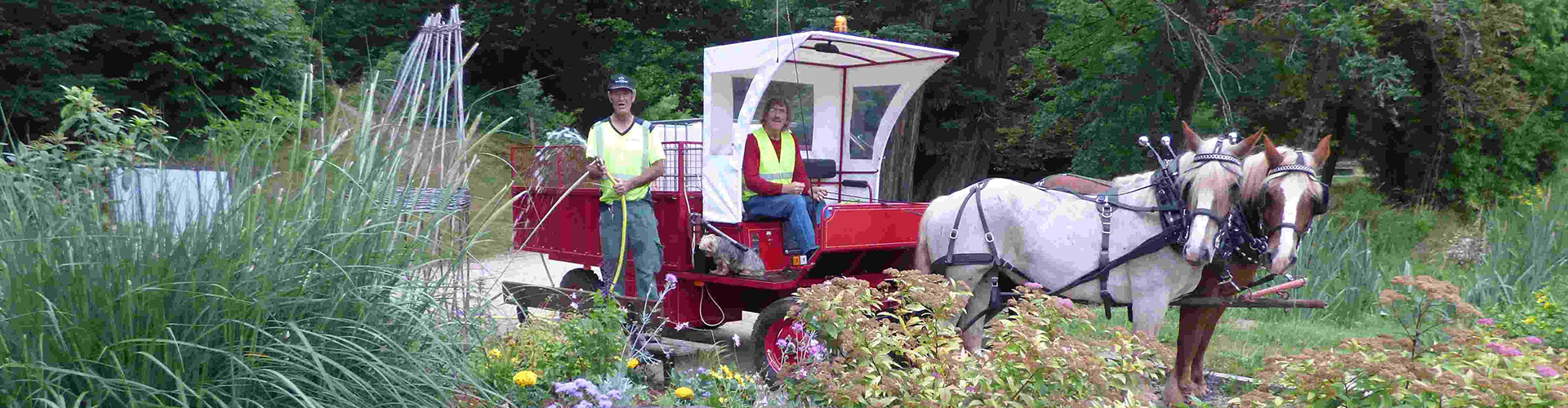 Bienvenue sur le réseau Faire à cheval