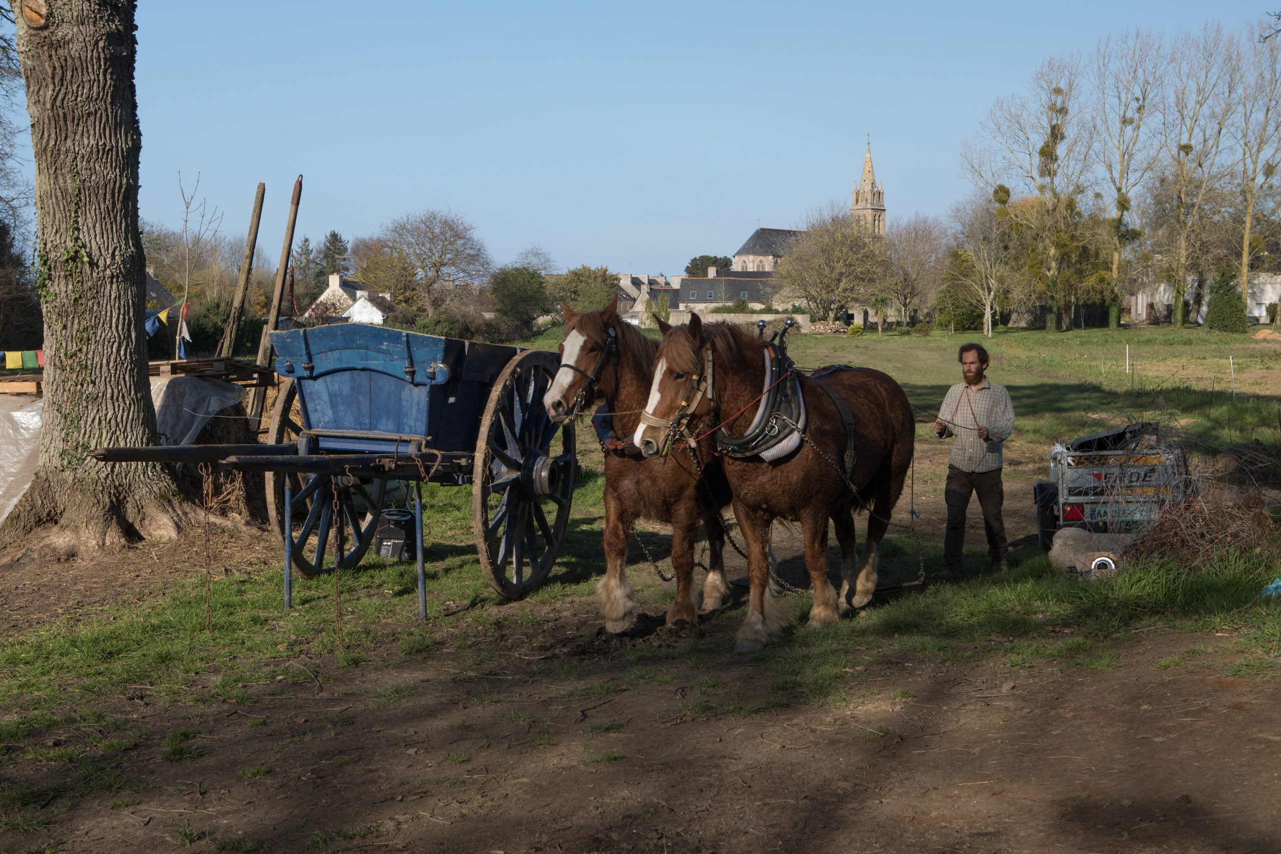 Archives des Épicerie sucrée - Ferme du Pont Pivert