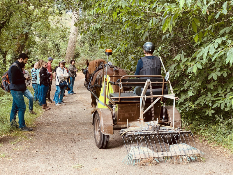 Démonstration hersage d'allées